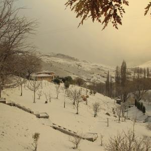 Cromwell Orchards Under Snow